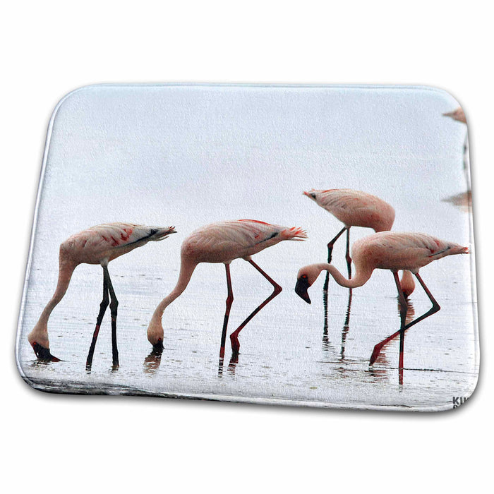 Dish Drying Mat - Flamingos pinkish tone Animals