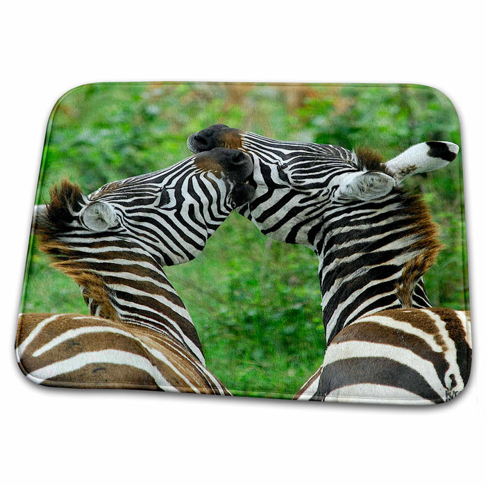 Dish Drying Mat - Common zebra Lake Nakuru  Kenya Africa Animals