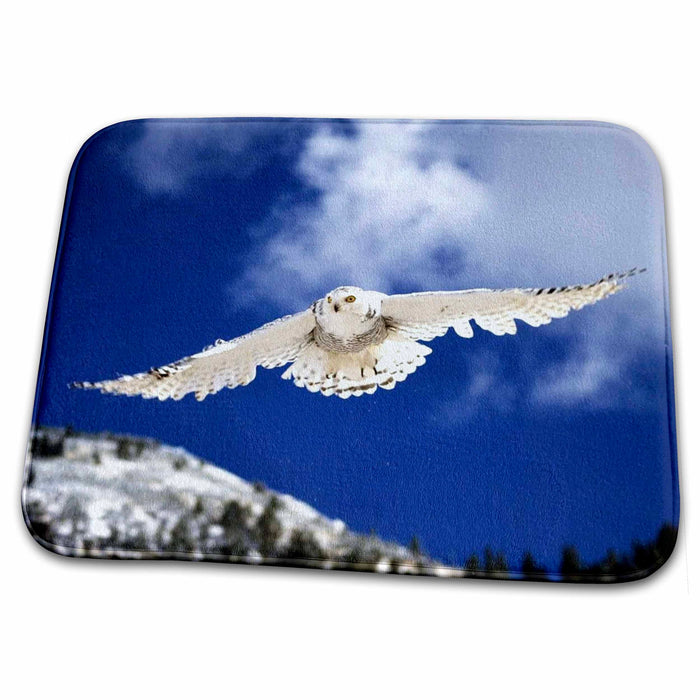 Dish Drying Mat - White Owl Flying Among Clouds.jpg Birds