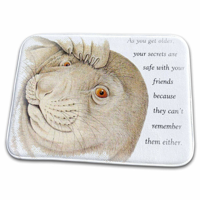 Dish Drying Mat - Getting Older Thoughts Slogans and Sayings