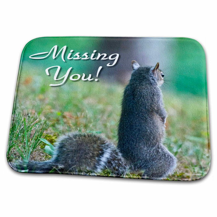 Dish Drying Mat - Missing You - Standing Squirrel Photography Photo Messages