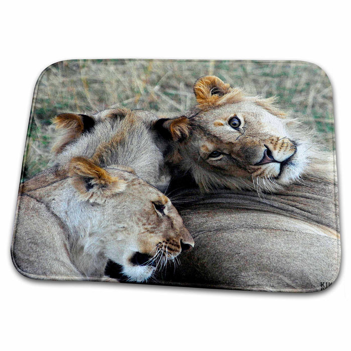 Dish Drying Mat - Lion Masai Mara National Park Kenya Africa 4 Animals