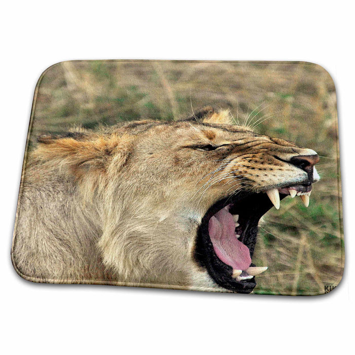 Dish Drying Mat - Lion Masai Mara National Park Kenya Africa 6 Animals