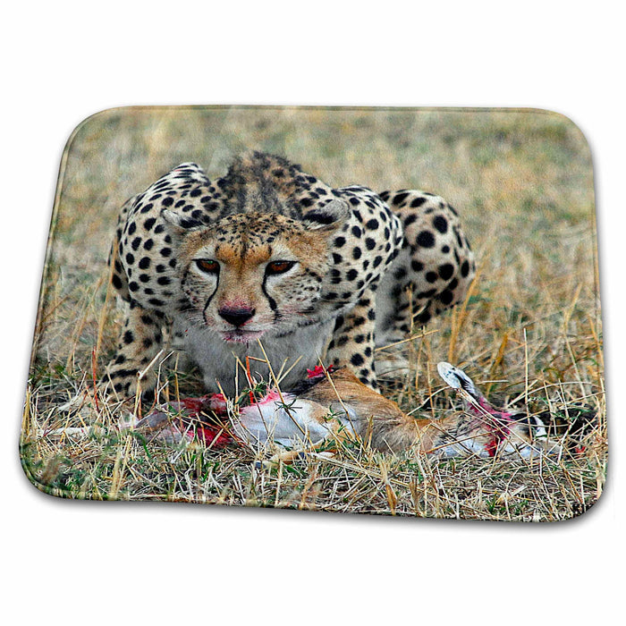 Dish Drying Mat - Cheetah feeding on a Thomsons gazelle Masai Mara National Park Animals