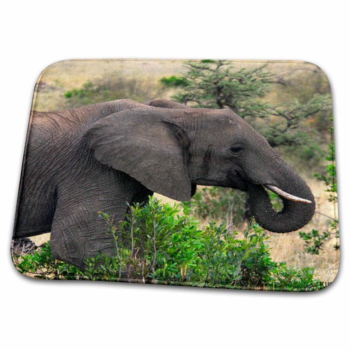 Dish Drying Mat - African elephant Masai Mara National Park Kenya Africa Animals