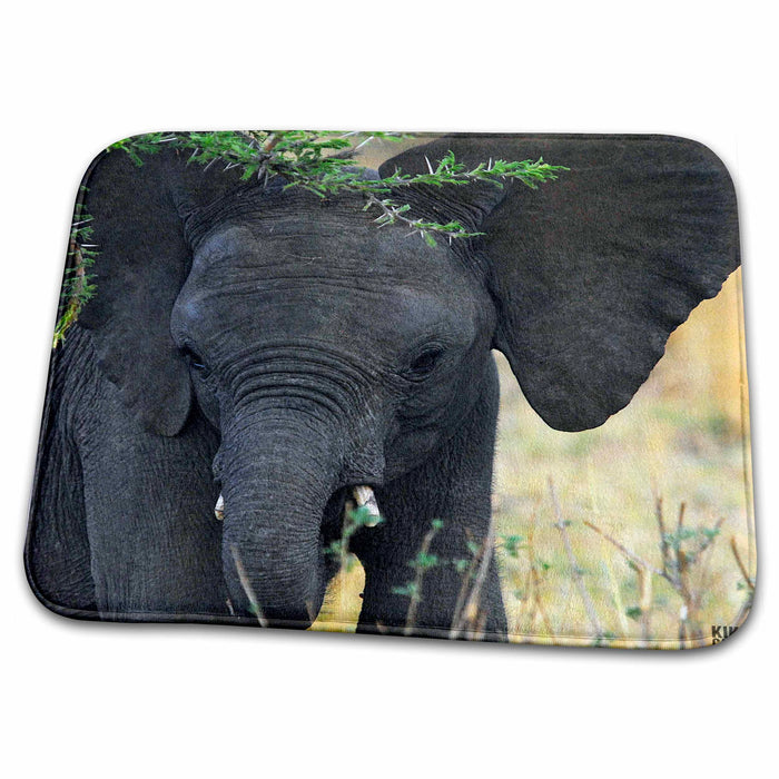 Dish Drying Mat - African elephant Masai Mara National Park Kenya Africa 3 Animals