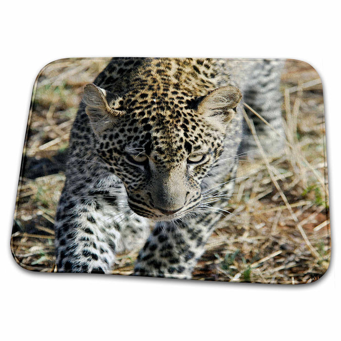 Dish Drying Mat - Leopard Masai Mara National Park Kenya Africa 2 Animals