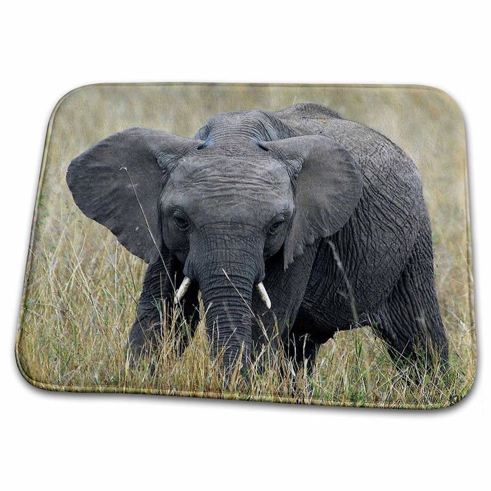 Dish Drying Mat - African elephant, Loxodonta africana, Masai Mara National Park Kenya Africa 3 Animals