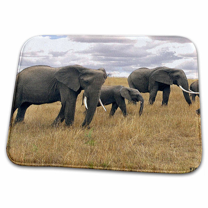 Dish Drying Mat - African elephant, Loxodonta africana, Masai Mara National Park Kenya Africa 5 Animals