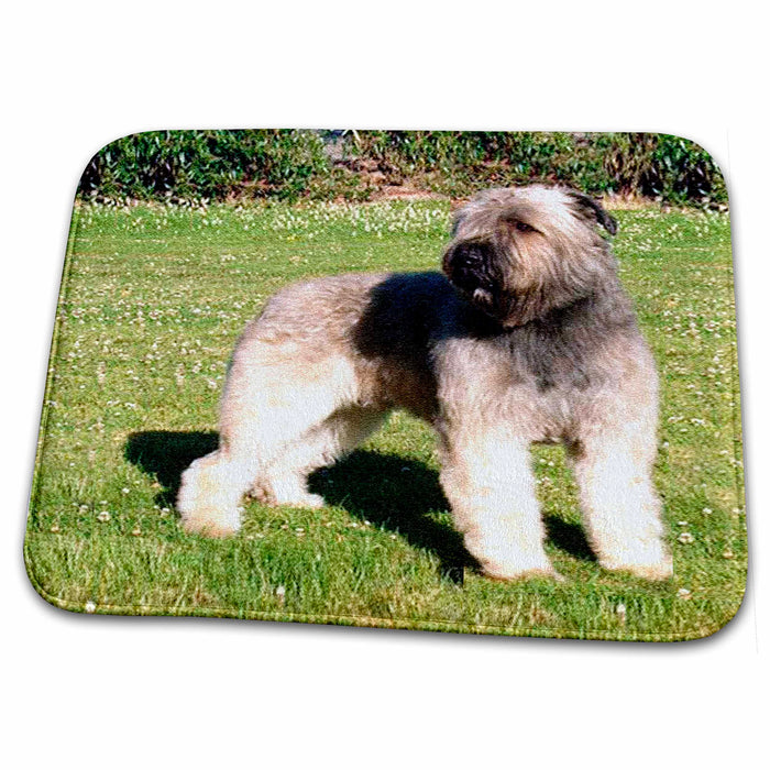 Dish Drying Mat - Bouvier Dogs Bouvier