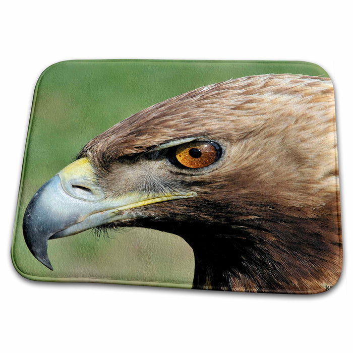 Dish Drying Mat - Golden eagle Animals