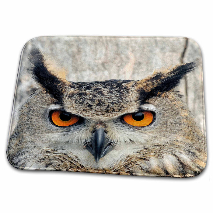 Dish Drying Mat - Eagle Owl, bubo bubo Animals