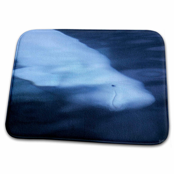 Dish Drying Mat - Wild Beluga whale or Sea Canary under the water surface looking up Animals