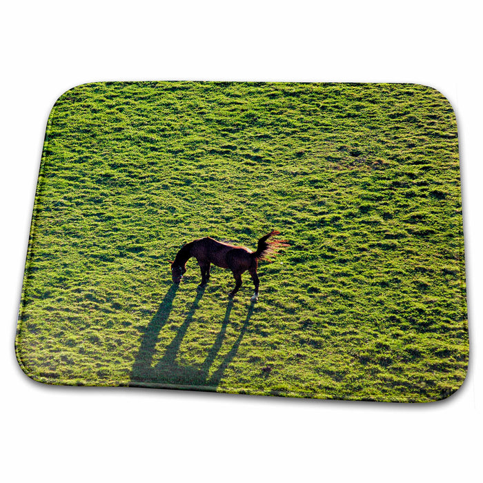 Dish Drying Mat - Horse Animals