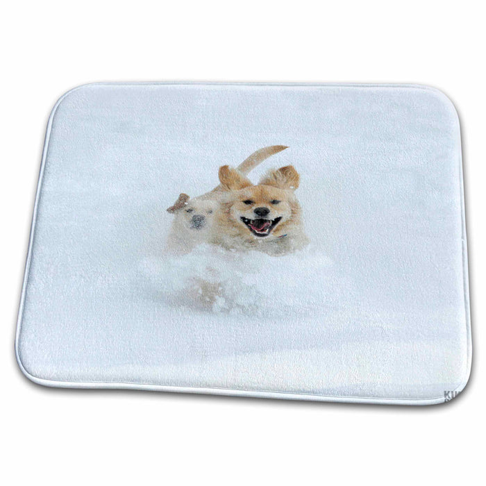 Dish Drying Mat - Dogs playing in the snow Animals