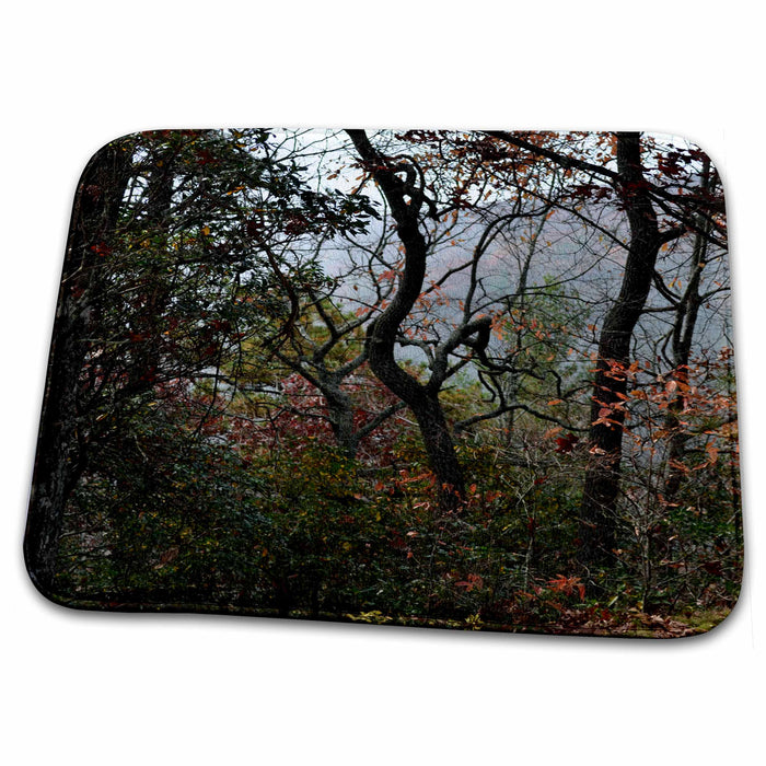 Dish Drying Mat - A different looking tree in the Mountains WhiteOak Photography Autumn Photos