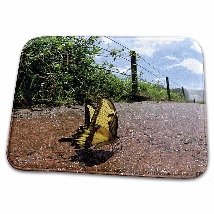 Dish Drying Mat - Butterfly drinking on the moist of the Iguazu Falls, between Brazil and Argentina Animals