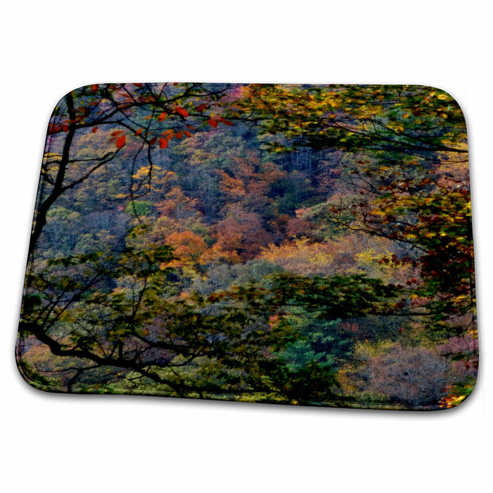 Dish Drying Mat - A viewshowing Autumn Trees WhiteOak Photography Autumn Photos