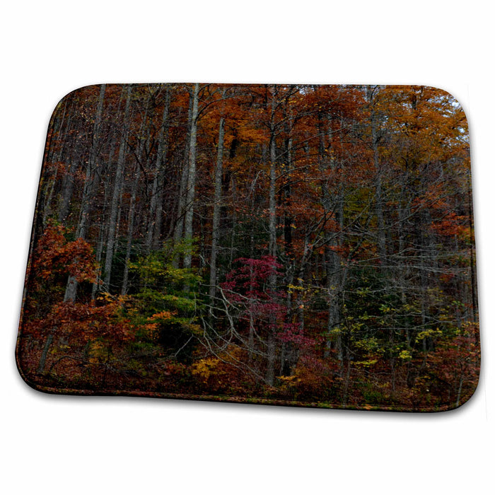 Dish Drying Mat - Autumn trees in North Georgia Mountains WhiteOak Photography Autumn Photos