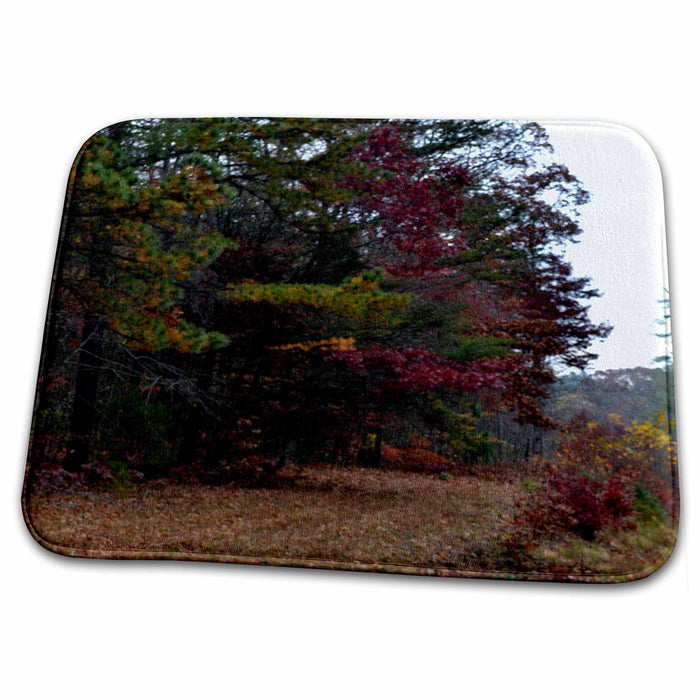 Dish Drying Mat - A path among autumn colored trees WhiteOak Photography Autumn Photos