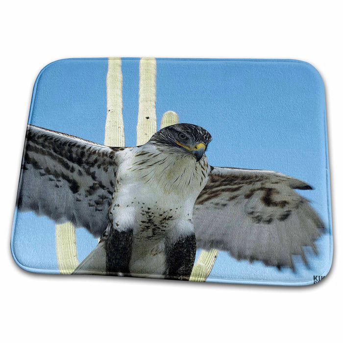 Dish Drying Mat - Ferruginous  Hawk, Buteo regalis  Saguaro National Park 4 Animals