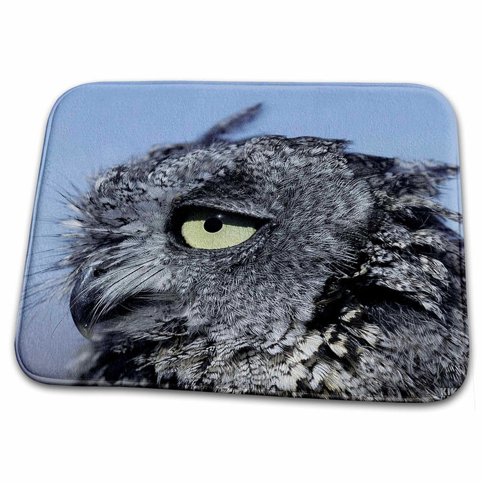 Dish Drying Mat - Western Screech Owl, Otus kennicottti Animals