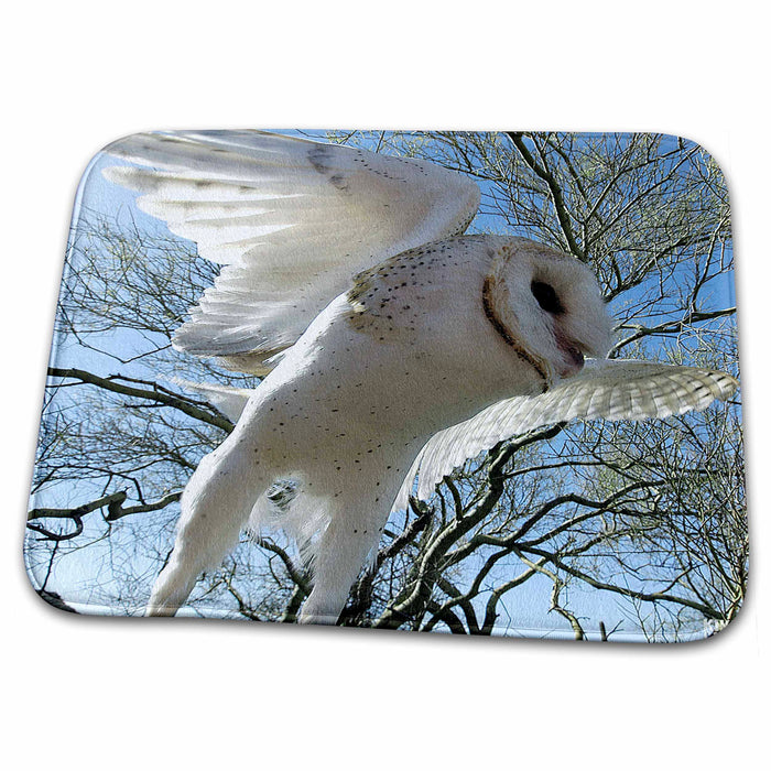 Dish Drying Mat - Barn Owl, Tyto alba, also White Night Owl Animals