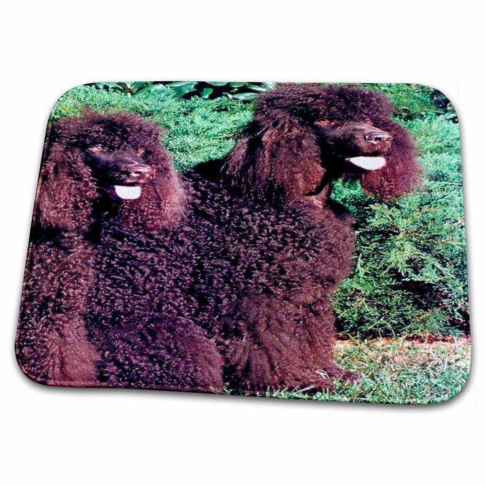 Dish Drying Mat - Irish Water Spaniel Dogs Irish Water Spaniel