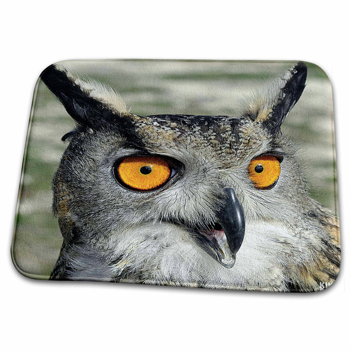 Dish Drying Mat - Eagle Owl, Bubo bubo, Animals