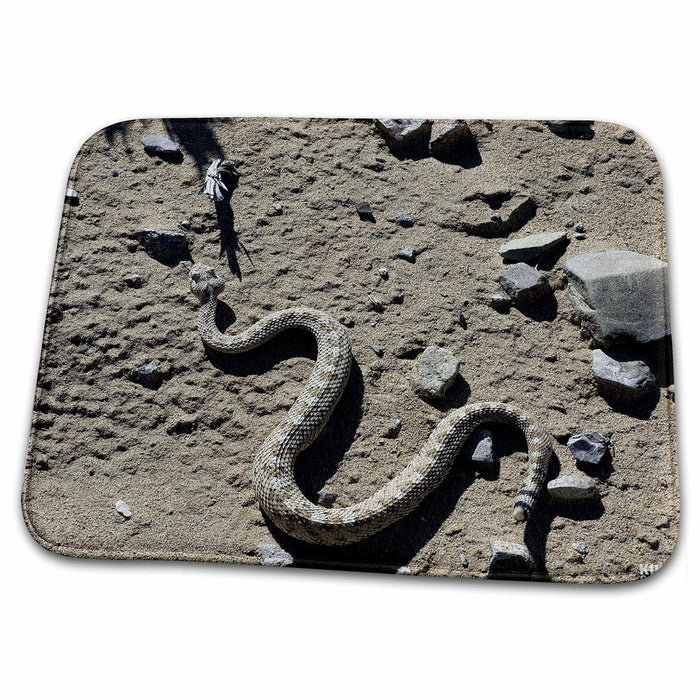 Dish Drying Mat - Sidewinder rattlesnake, Crotalus cerastes Animals