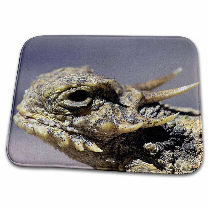 Dish Drying Mat - Flat-tailed Horned Lizard, Phrynosoma mcalli Animals