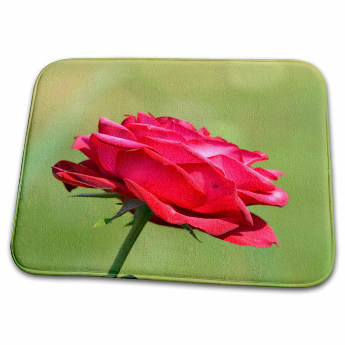 Dish Drying Mat - Beautiful Red Rose- Garden Flowers- Romantic Photography PS Flowers