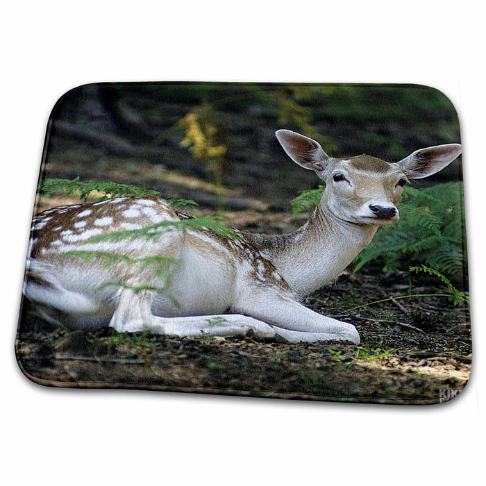 Dish Drying Mat - Fawn Animals