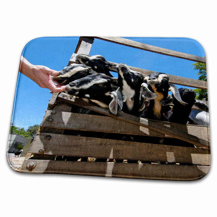 Dish Drying Mat - Goats in a farm Animals