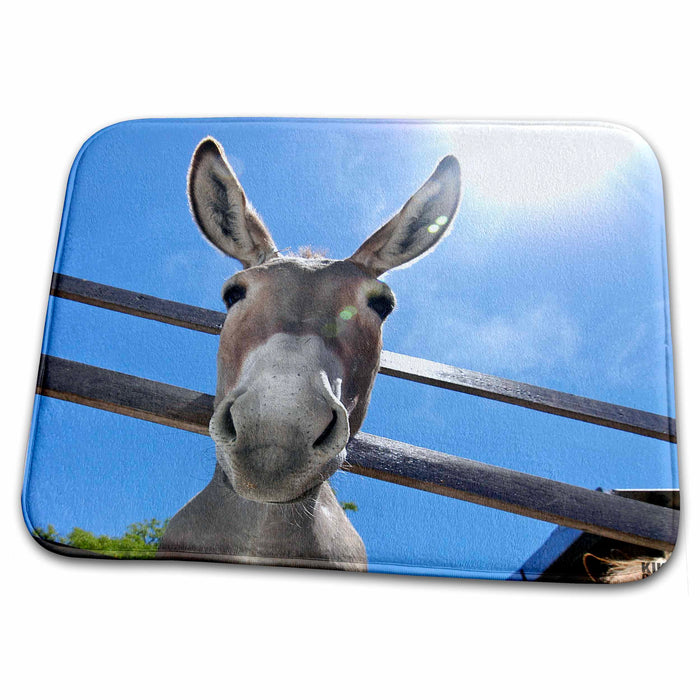 Dish Drying Mat - Donkey in a farm Animals