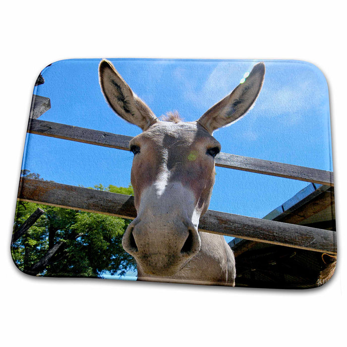 Dish Drying Mat - Donkey in a farm 2 Animals