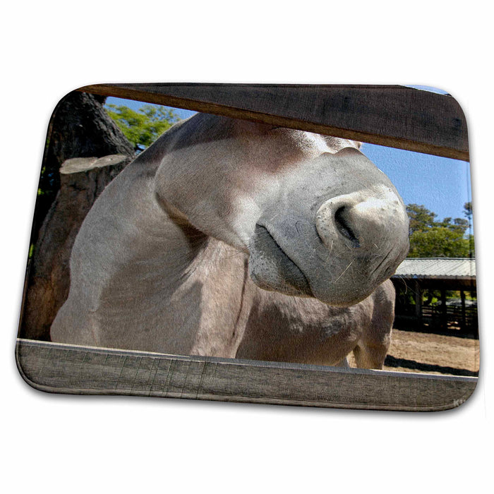 Dish Drying Mat - Horse in a farm Animals