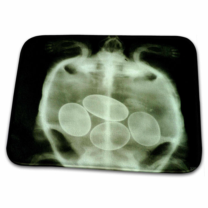 Dish Drying Mat - X-Ray of a turtle with eggs Animals