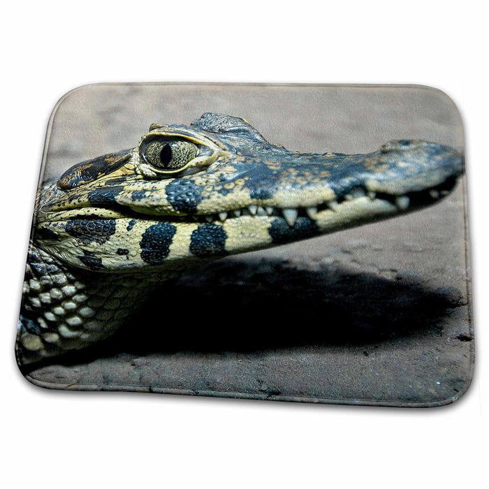 Dish Drying Mat - Baby alligator Animals