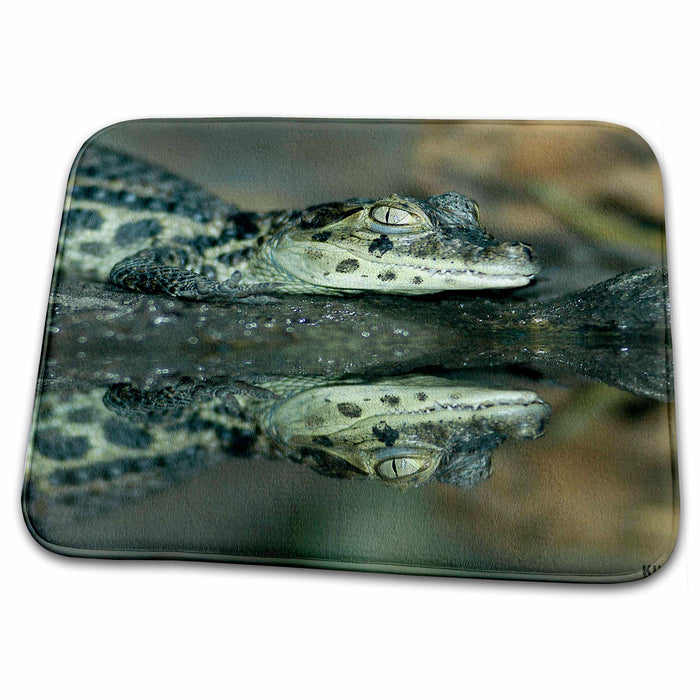 Dish Drying Mat - Baby alligator Animals