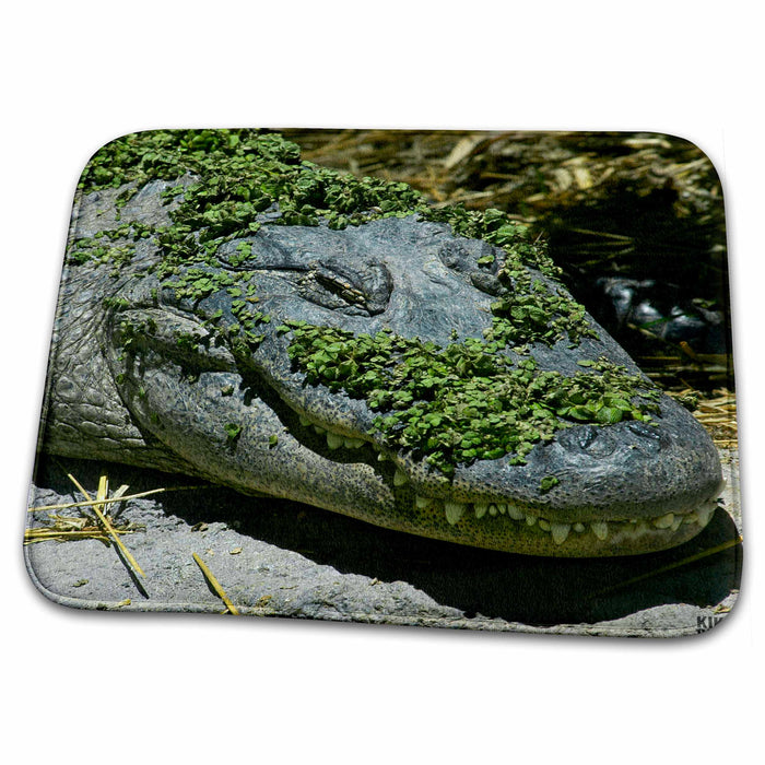 Dish Drying Mat - Alligator Animals