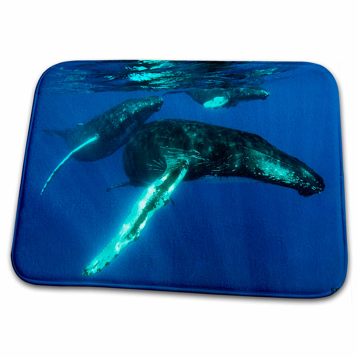 Dish Drying Mat - Humpback whales Animals