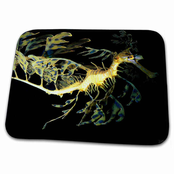 Dish Drying Mat - Leafy Sea Dragon Seahorse, Phycodurus eques, Animals