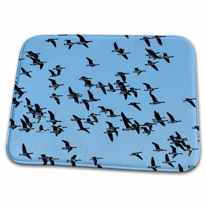 Dish Drying Mat - Canada Geese, Branta canadensis Animals