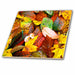 image of 12 Inch Glass Tile