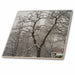 image of 8 Inch Glass Tile