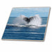 image of 12 Inch Glass Tile