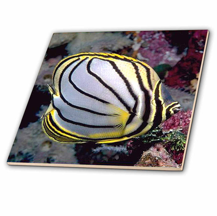 image of 8 Inch Glass Tile