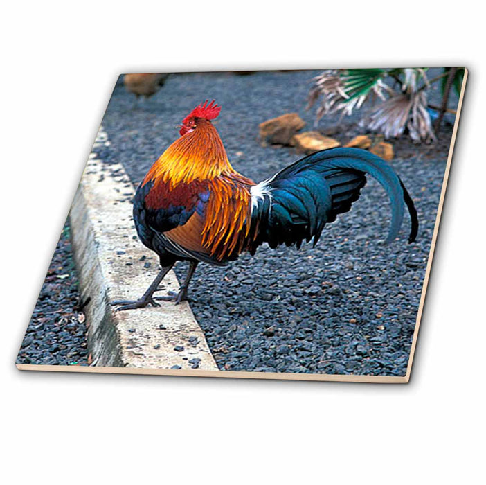 image of 12 Inch Ceramic Tile