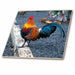 image of 8 Inch Ceramic Tile